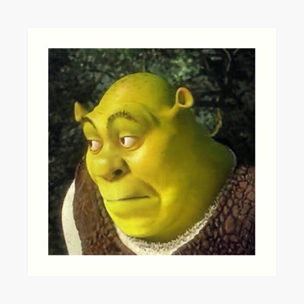 Shrek Face Meme Art Print for Sale by mylifeasgaia