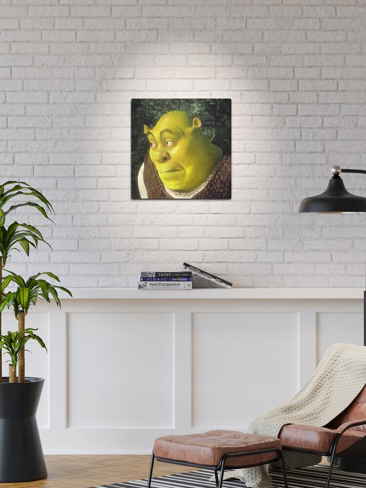 Shrek Face Meme Photographic Print for Sale by mylifeasgaia