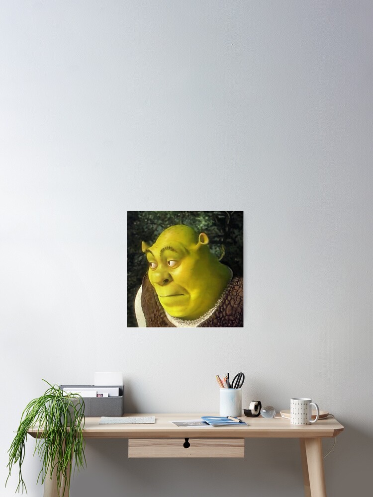 Shrek Face Meme Photographic Print for Sale by mylifeasgaia