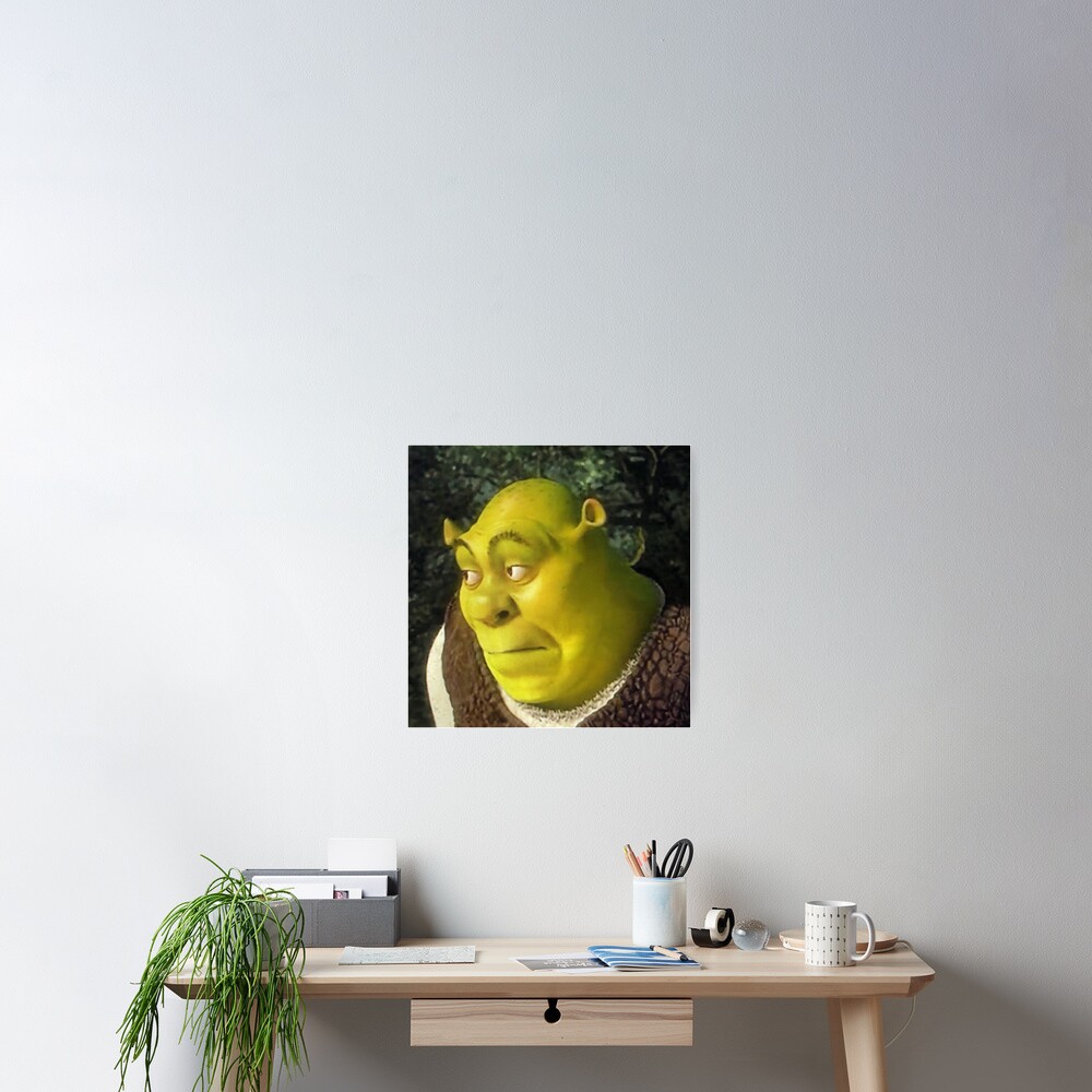 Shrek Face Meme Photographic Print for Sale by mylifeasgaia