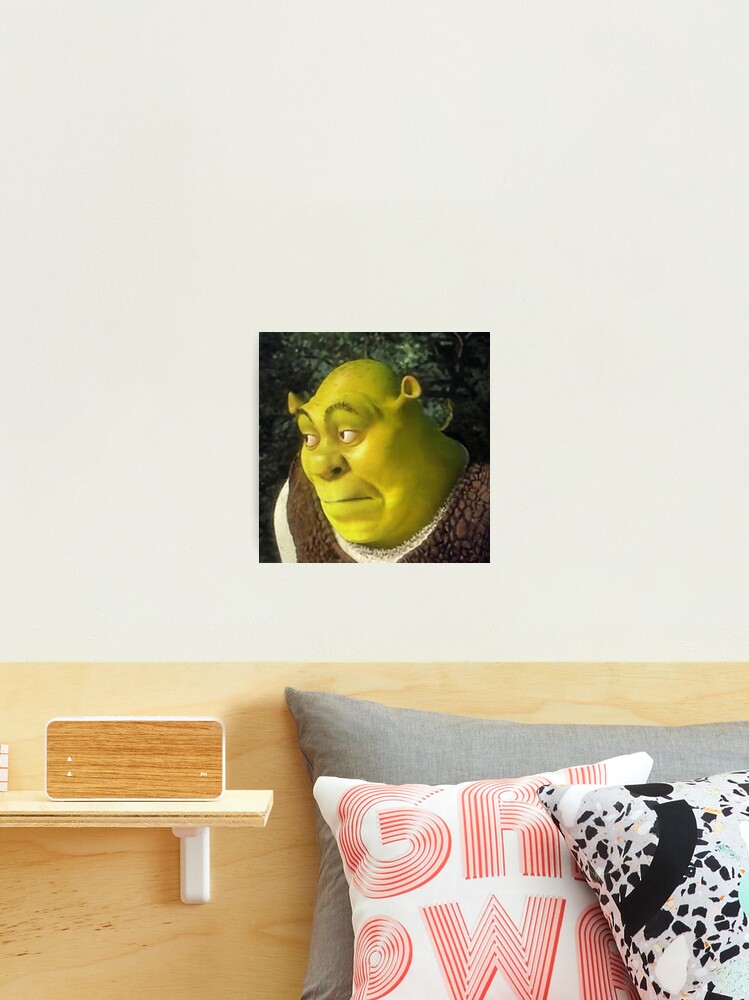 Shrek Face Meme Art Print for Sale by mylifeasgaia