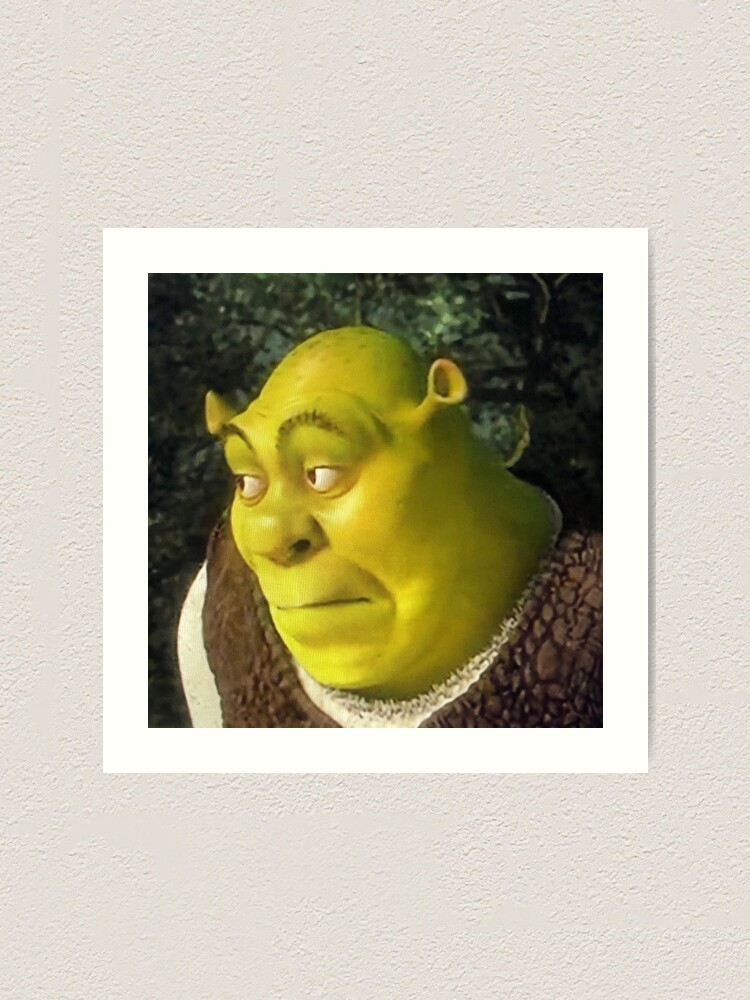 Shrek face meme | Zipper Pouch