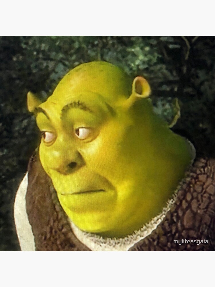 Shrek's funny face [1000x1000] : r/MemeRestoration