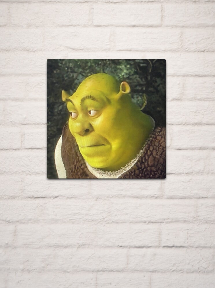 Shrek Face Meme Photographic Print for Sale by mylifeasgaia