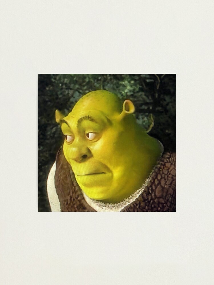 Shrek Face Meme Art Print for Sale by mylifeasgaia