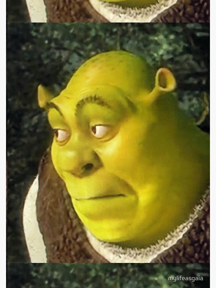 Shrek Face Meme Photographic Print for Sale by mylifeasgaia