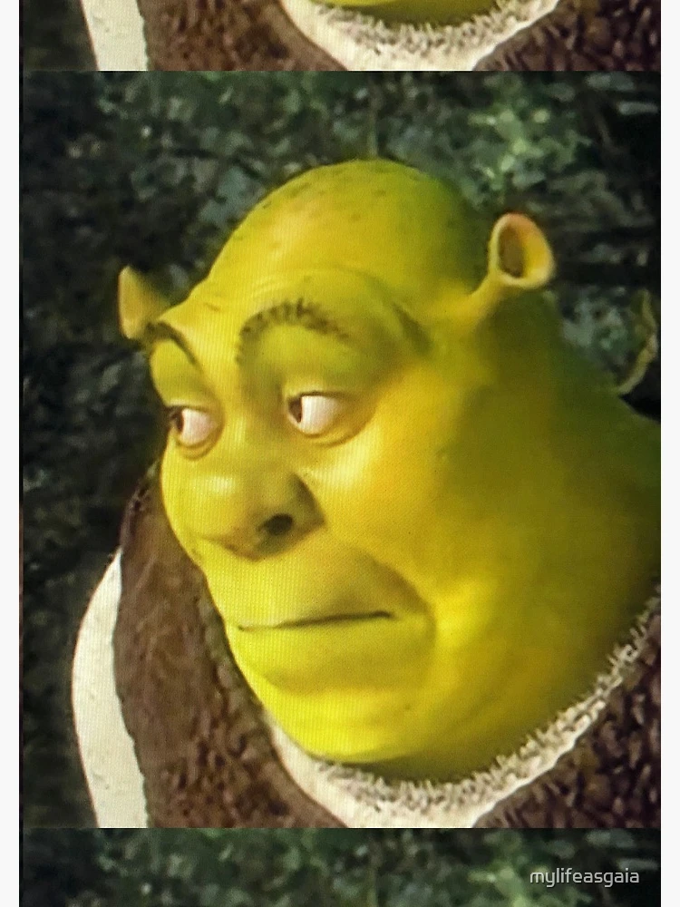 Face Shrek #shrek #shrekmeme #rizz, shrek face meme