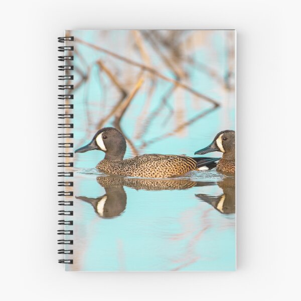 Item preview, Remo de pato temprano en la mañana designed and sold by BowToe.