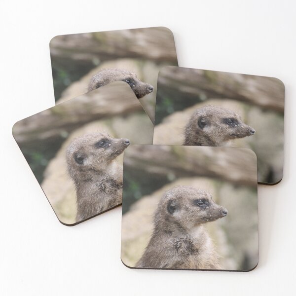 Item preview, Meerkat 072 designed and sold by JAMFoto.