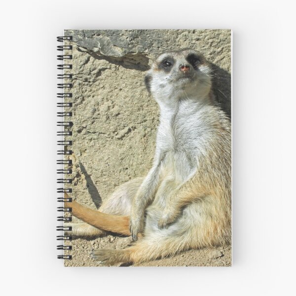 Item preview, Meerkat 073 designed and sold by JAMFoto.