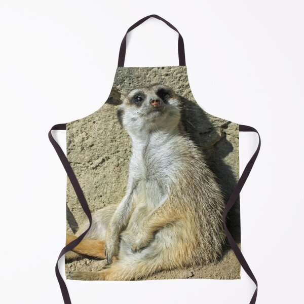 Item preview, Meerkat 073 designed and sold by JAMFoto.