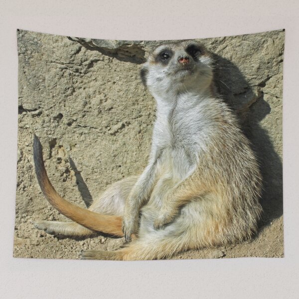 Item preview, Meerkat 073 designed and sold by JAMFoto.