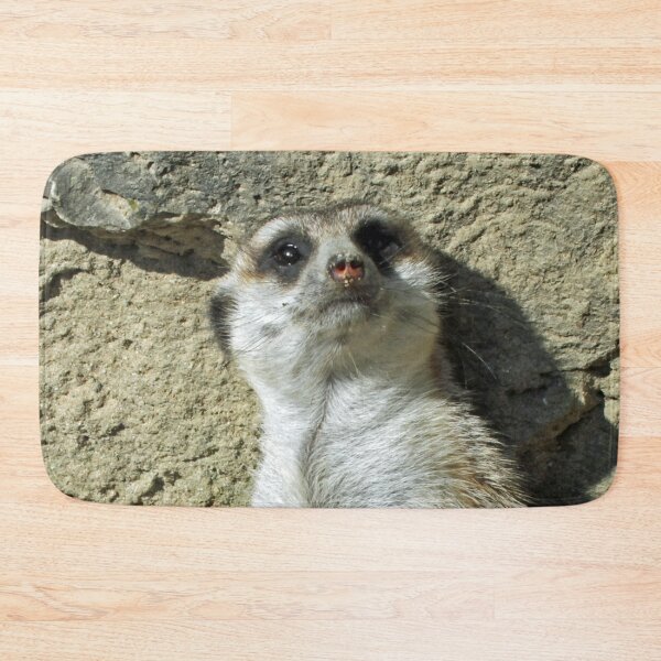 Item preview, Meerkat 073 designed and sold by JAMFoto.