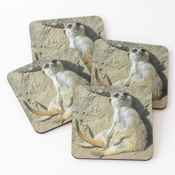 Item preview, Meerkat 073 designed and sold by JAMFoto.