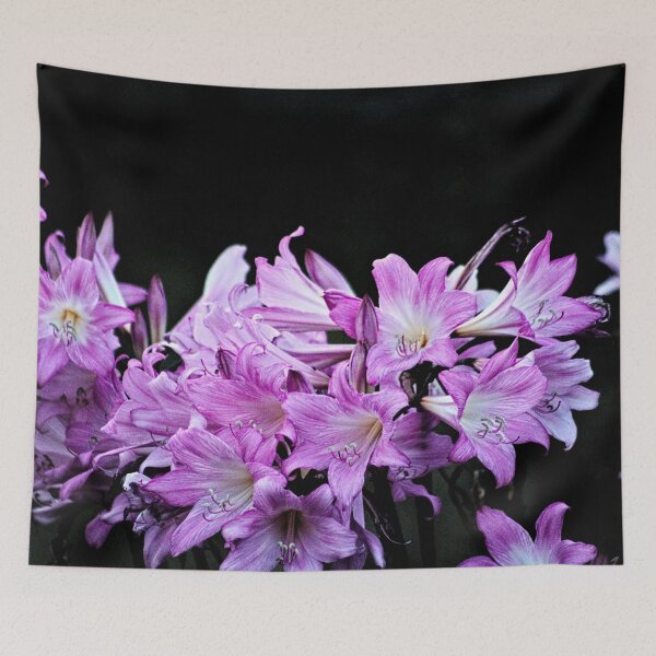 Item preview, Amaryllis Belladonna Pink Flowers Bouquet designed and sold by Anna Lemos.