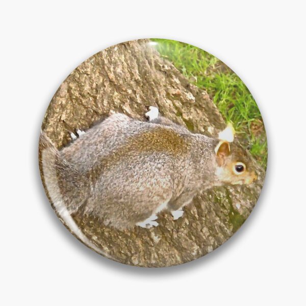 Item preview, Squirrel designed and sold by Shulie1.
