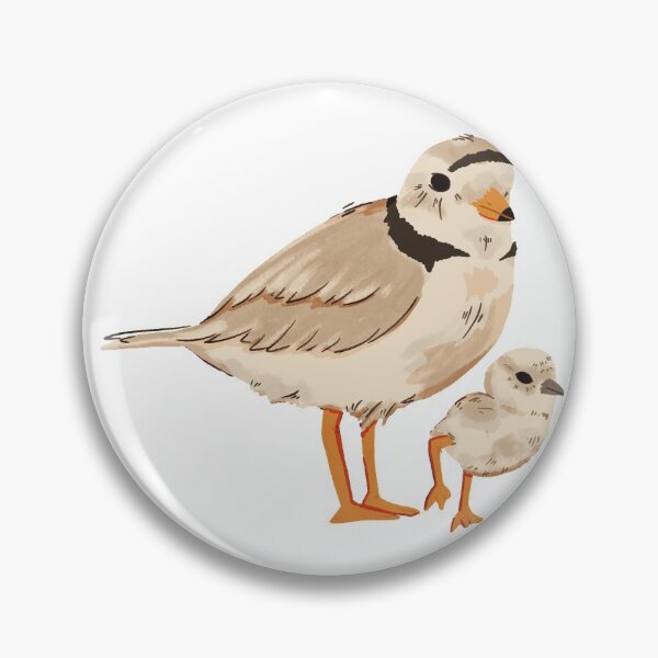 Item preview, Piping plover (no background) designed and sold by Benjamin  Schurter.