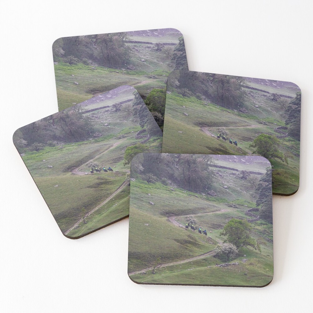 Item preview, Coasters (Set of 4) designed and sold by MJ-Piccys.