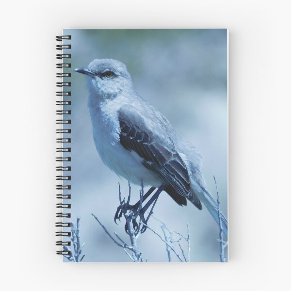 Item preview, seabird designed and sold by azimuthal.