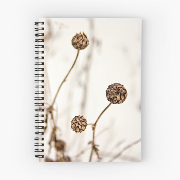 Item preview, Seed head designed and sold by Vicki Field.