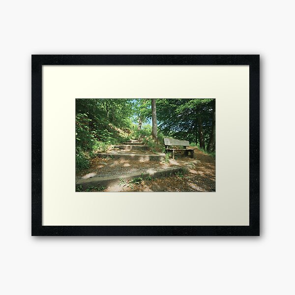 Wee Seat Framed Art Print