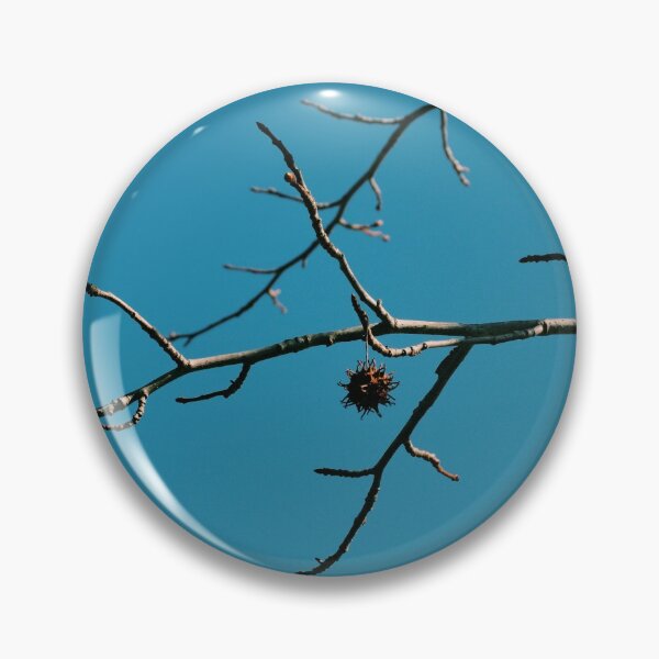 Item preview, Sweet Gum Seed Pod designed and sold by Tessia Photography.