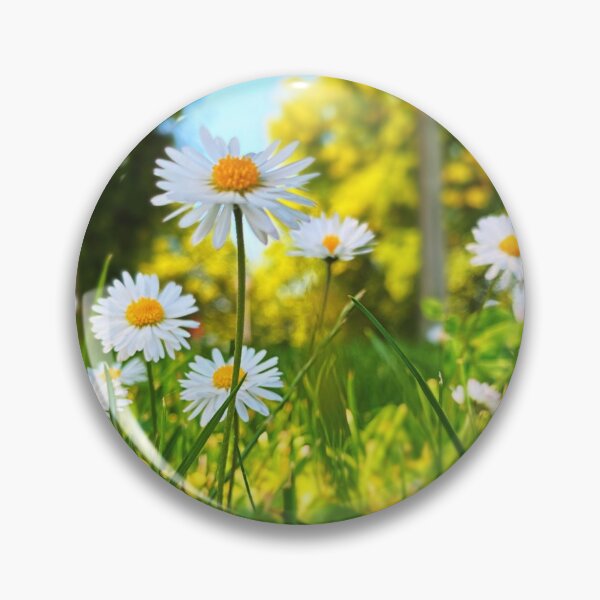 Item preview, Daisies in summer designed and sold by Walderfahrung.