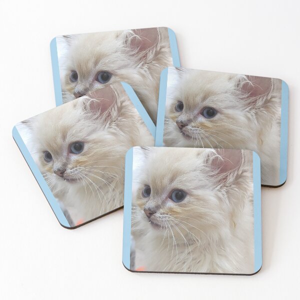 Item preview, Copy of Lynx ragdoll kitten Saoirse designed and sold by Fluffycat2020.