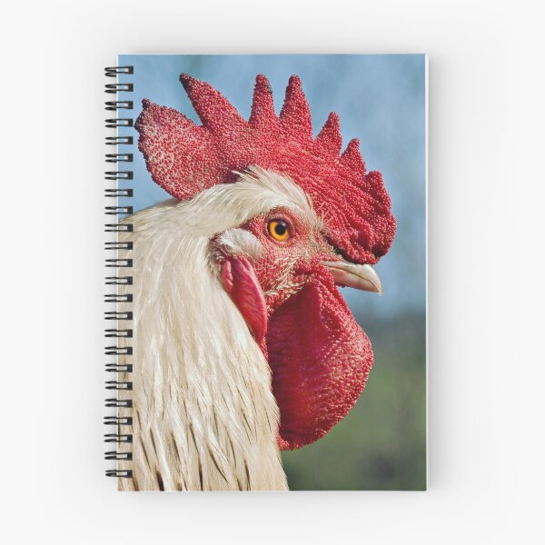 Artikelvorschau, Sussex Hahn Cock entworfen und verkauft von John Dewar.