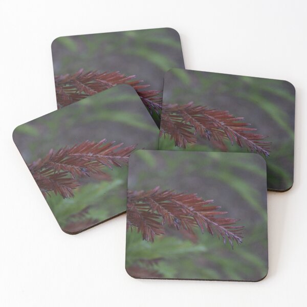 Item preview, Redwood Needles designed and sold by PhotosByTrent.