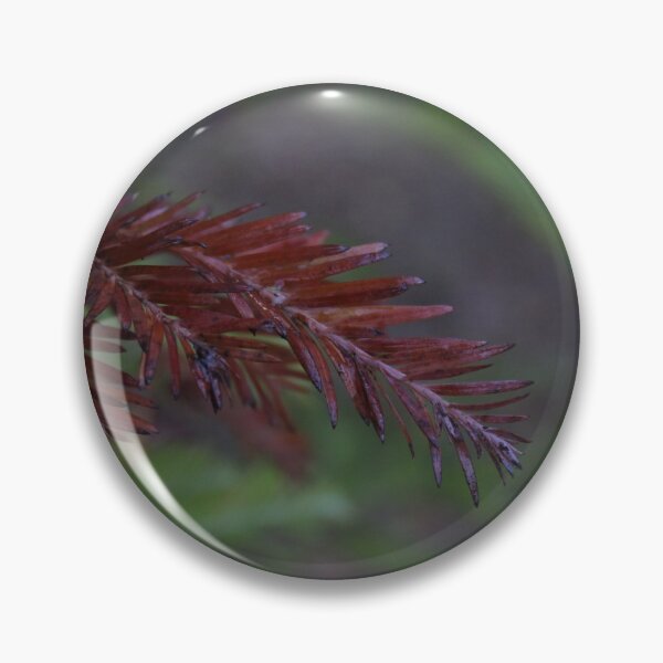 Item preview, Redwood Needles designed and sold by PhotosByTrent.