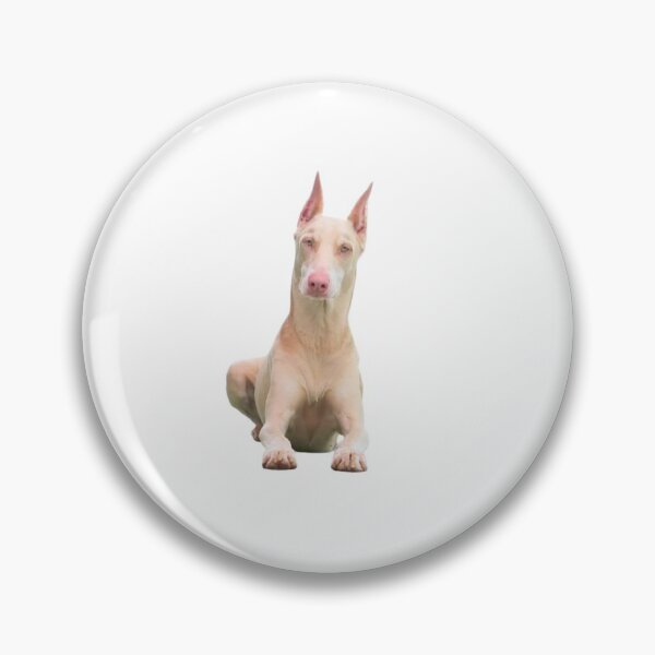 Item preview, Sitting doberman dog sticker designed and sold by Arts-empire.