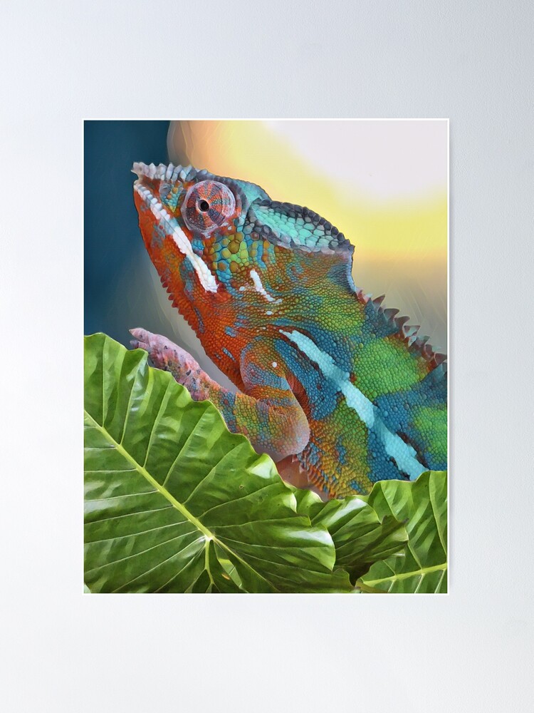 Illustration of green Common Chameleon For sale as Framed Prints, Photos,  Wall Art and Photo Gifts