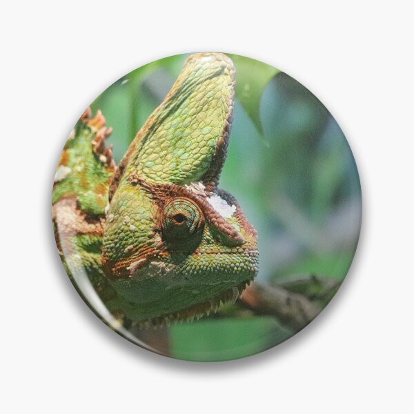 Item preview, Veiled Chameleon designed and sold by LeanneAllen.