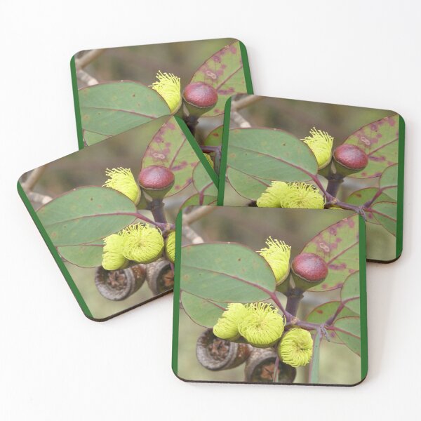 Item preview, Gum Blossom & Gumnuts (Eucalyptus), Bega Valley, Australia designed and sold by Cobargo South Coast.