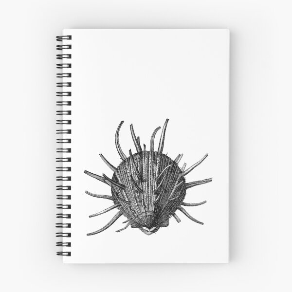 Item preview, Touchy, Touchy  designed and sold by Quill-n-Ink.