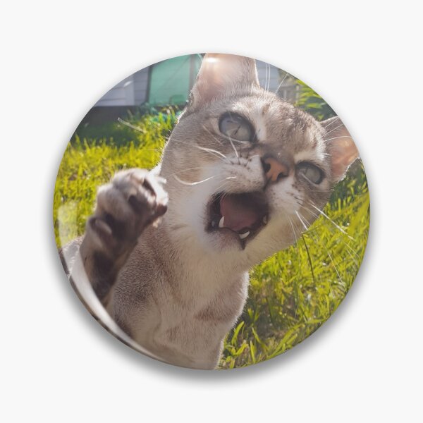 Item preview, Speedball in attack mode designed and sold by Cat-yawns.