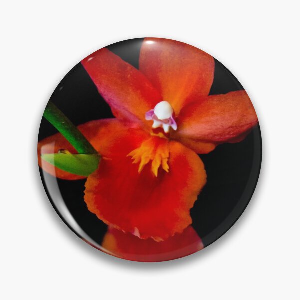 Item preview, Red orchids in full bloom designed and sold by Michael Deemer.