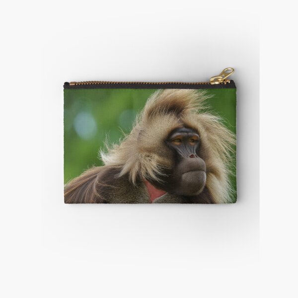 Item preview, Gelada Sitting In The Wind designed and sold by rawshutterbug.