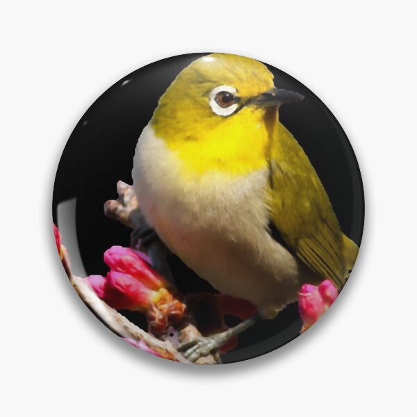 Item preview, Birds (scientific name: Aves), also known as birds. designed and sold by zenger2021.