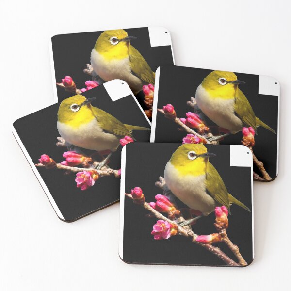 Item preview, Birds (scientific name: Aves), also known as birds. designed and sold by zenger2021.