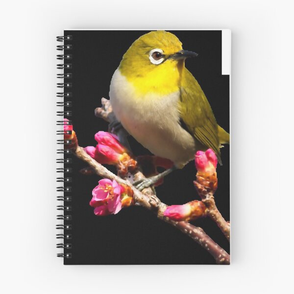 Item preview, Birds (scientific name: Aves), also known as birds. designed and sold by zenger2021.