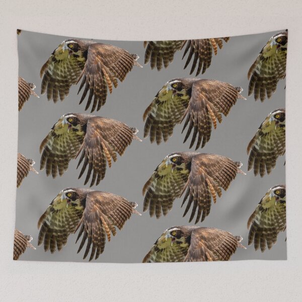 Item preview, Spectacled Owl in flight designed and sold by Dalyndigital Photography.