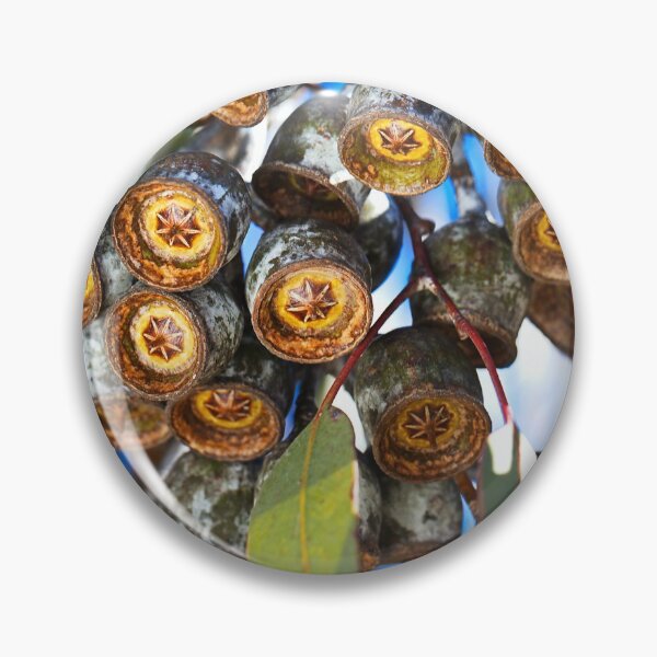 Item preview, Gumnut Stars Shining  designed and sold by Joy Watson - Natural Light Photography .