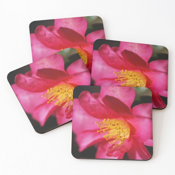Item preview, Camellia Sasanqua Of Elegance designed and sold by Joy Watson - Natural Light Photography .