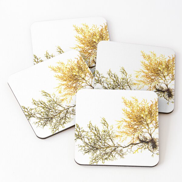 Item preview, Seaweed #17 designed and sold by dPhoto9.