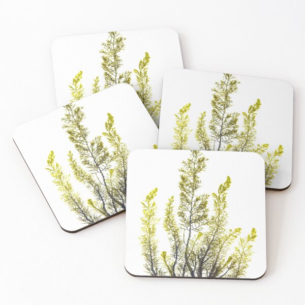 Item preview, Seaweed #18 designed and sold by dPhoto9.