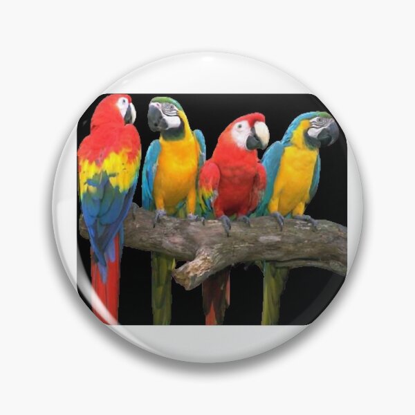 Item preview, Cuatro guacamayos, con plumas bonitas, cuerpo grande y buena inteligencia y habilidad para hablar. designed and sold by zenger2021.
