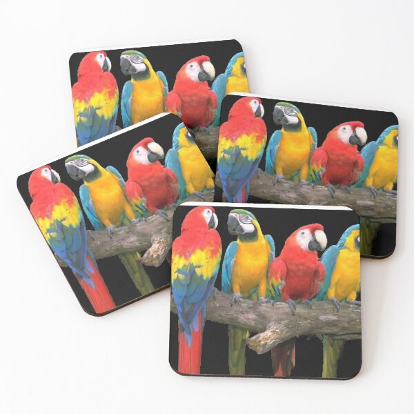 Item preview, Cuatro guacamayos, con plumas bonitas, cuerpo grande y buena inteligencia y habilidad para hablar. designed and sold by zenger2021.