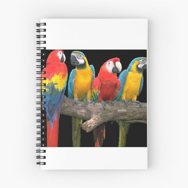 Item preview, Cuatro guacamayos, con plumas bonitas, cuerpo grande y buena inteligencia y habilidad para hablar. designed and sold by zenger2021.